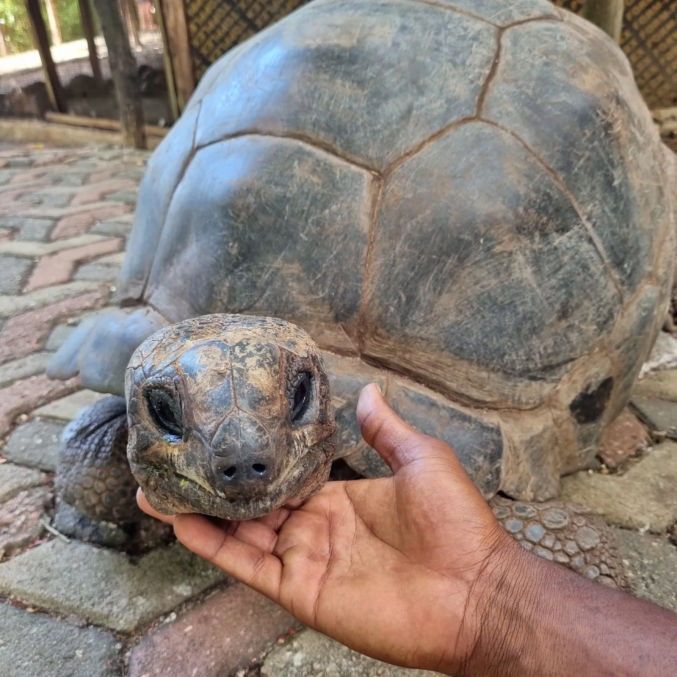 Prison Island view 64